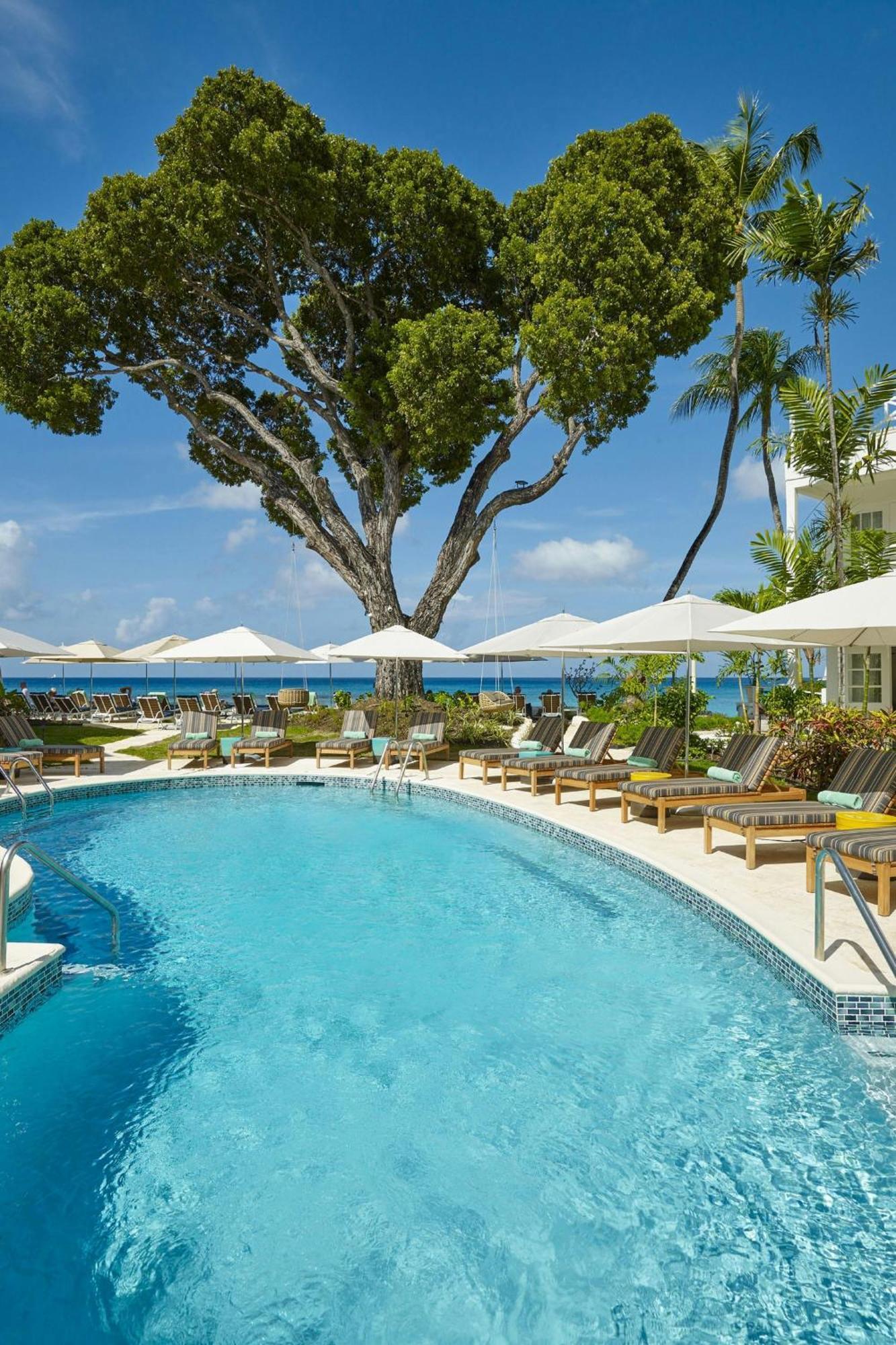 Treasure Beach Art Hotel, An Autograph Collection All-Inclusive Resort (Adults Only) 圣詹姆斯 外观 照片